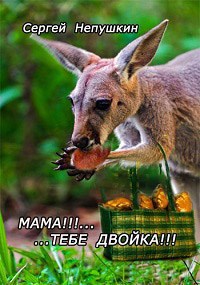 Обложка книги Мама!!!... тебе двойка!