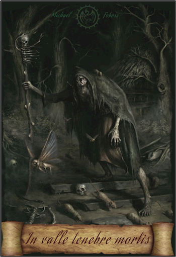 Обложка книги "In valle tenebre mortis"