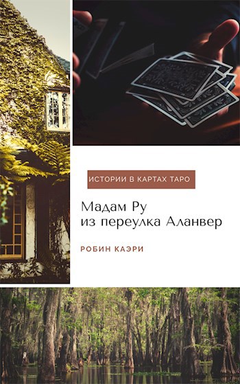 Обложка книги Мадам Ру из переулка Аланвер