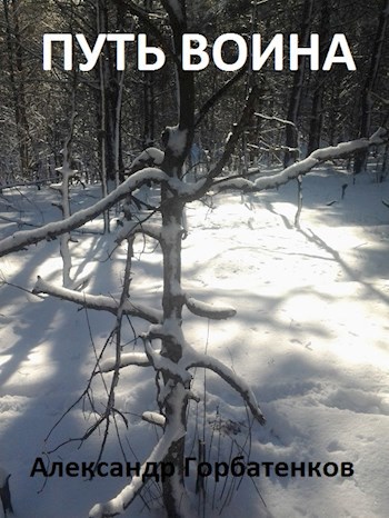 Обложка книги Путь воина
