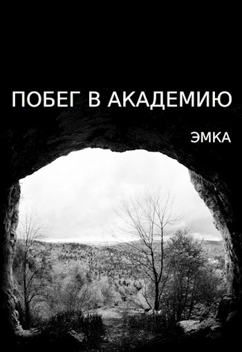 Обложка книги Побег в Академию