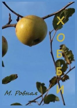 Обложка книги Хобби