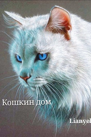 Обложка книги Кошкин дом