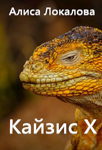 Обложка книги Кайзис Х