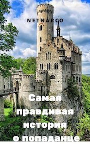 Обложка книги Самая правдивая история о попаданце