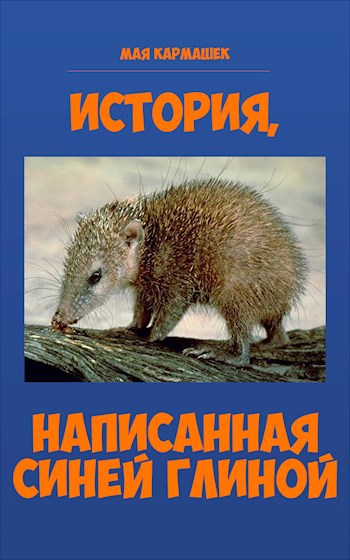 Обложка книги История, написанная синей глиной