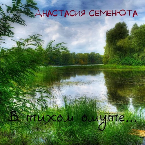 Обложка книги В тихом омуте...