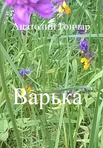 Обложка книги Варька
