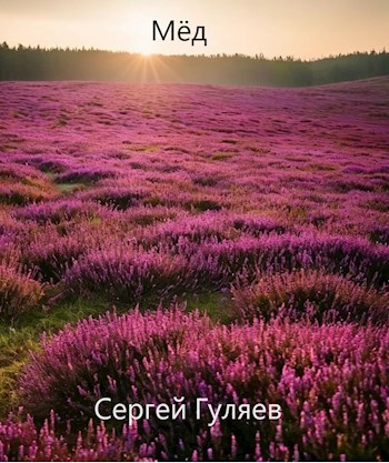 Обложка книги Мёд