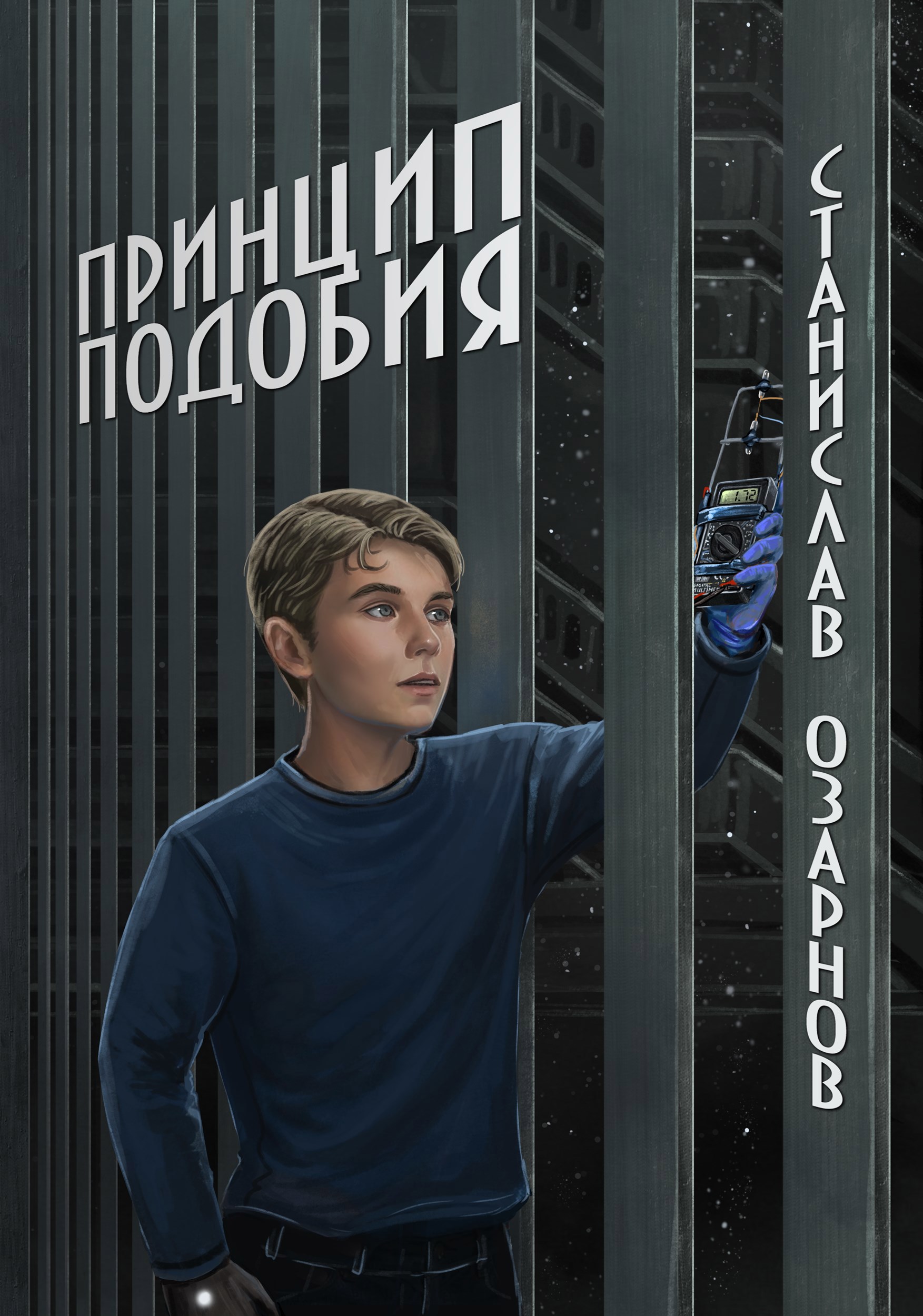 Обложка книги Принцип подобия