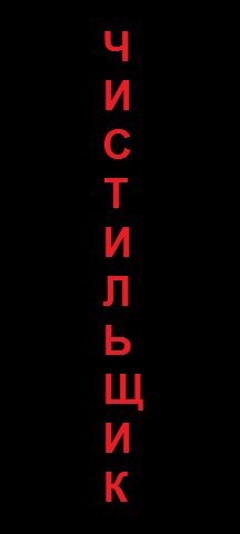 Обложка книги Чистильщик (скриншотер)