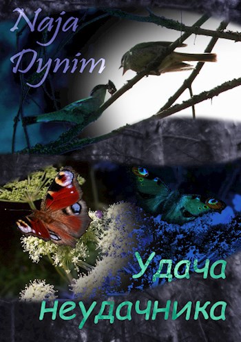 Обложка книги Удача неудачника