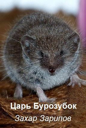 Обложка книги Царь Бурозубок