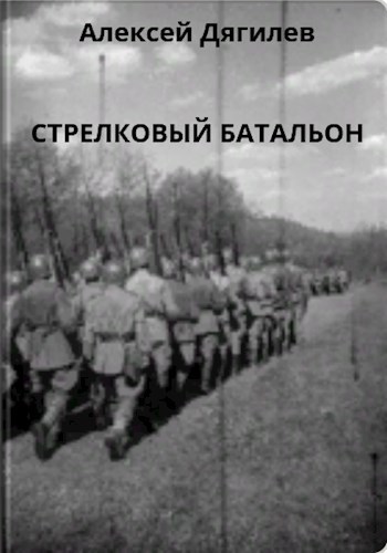 Обложка книги Стрелковый батальон.