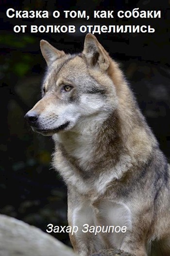 Обложка книги Сказка о том, как собаки от волков отделились