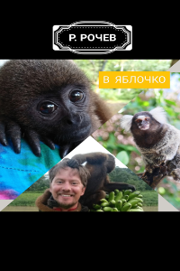 Обложка книги В ЯБЛОЧКО