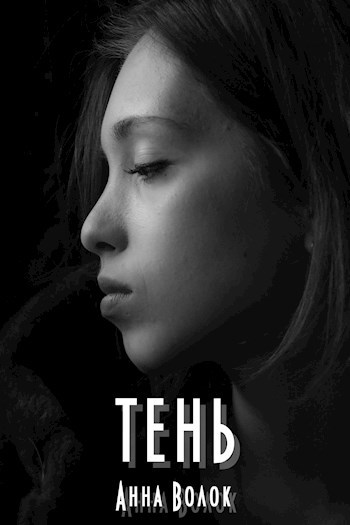 Обложка книги Тень