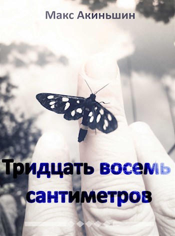 Обложка книги Тридцать восемь сантиметров