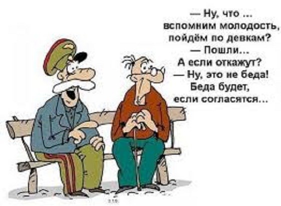 Обложка книги Вася и Петя