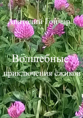 Обложка книги Волшебные приключения ёжиков