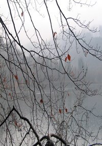 Обложка книги По заветам Америки