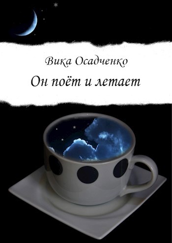 Обложка книги Он поёт и летает