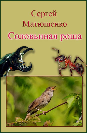 Обложка книги Соловьиная роща