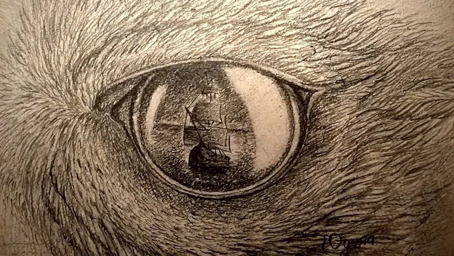 Обложка книги Птицы