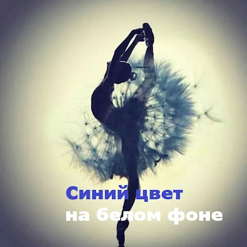 Обложка книги Синий цвет на белом фоне
