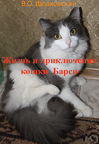 Обложка книги Жизнь и приключения кошки Барси