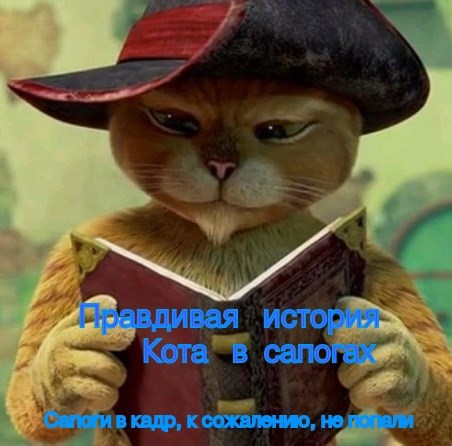 Обложка книги Правдивая история Кота в сапогах