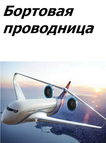 Обложка книги Бортовая проводница