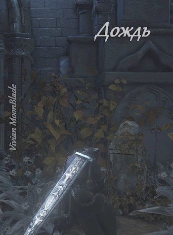 Обложка книги Дождь