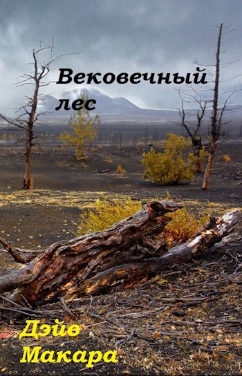 Обложка книги Вековечный лес