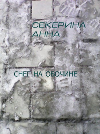 Обложка книги Снег на обочине