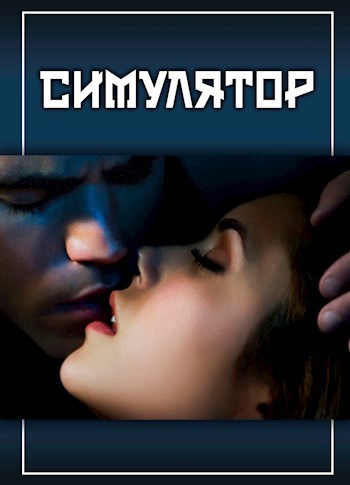 Обложка книги Симулятор