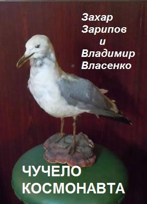 Обложка книги Чучело Космонавта