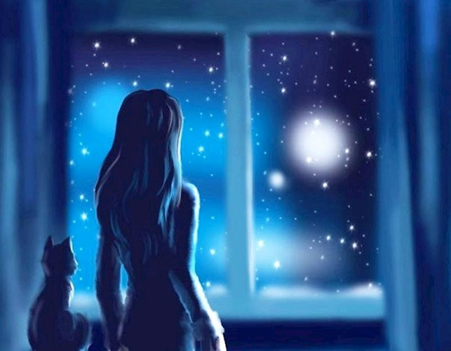 Обложка книги Долгожданная встреча