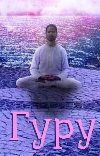 Обложка книги Гуру