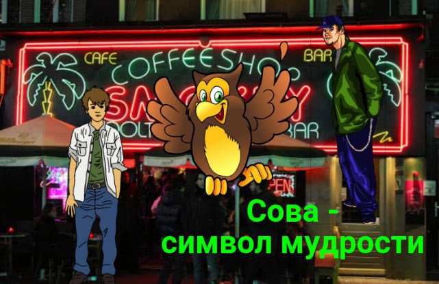 Обложка книги Сова - символ мудрости