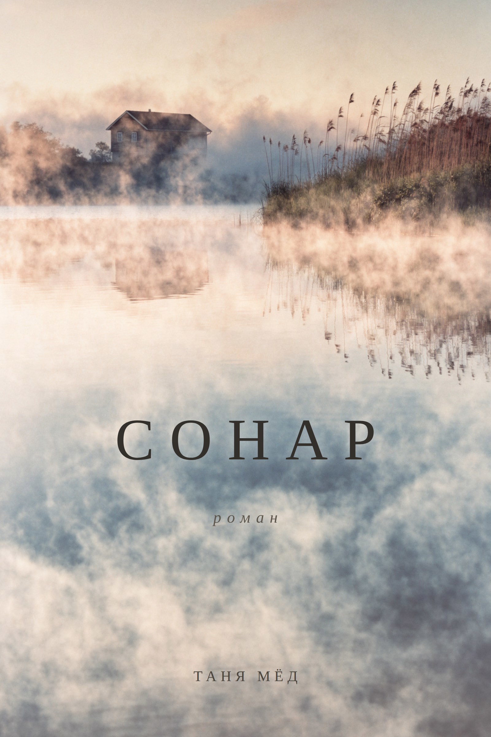 Обложка книги Сонар