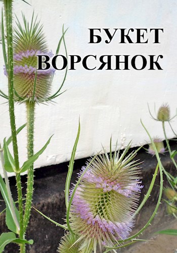 Обложка книги Букет ворсянок