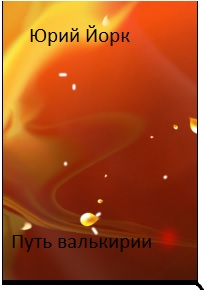 Обложка книги Путь валькирии