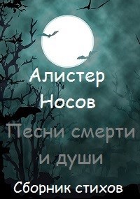 Обложка книги Песни смерти и души