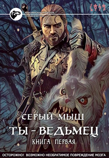 Обложка книги Ты – ведьмец | Книга первая
