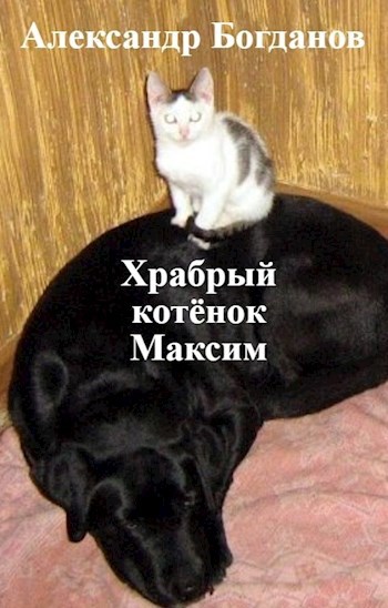 Обложка книги Храбрый котёнок Максим
