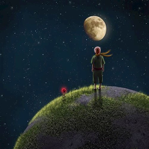 Обложка книги Жить лишь этим...