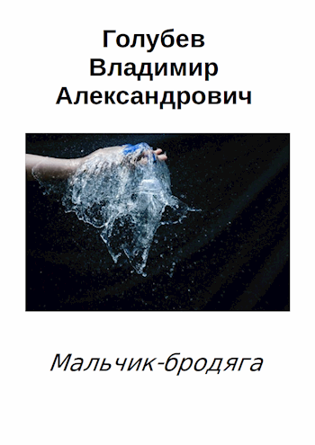 Обложка книги Мальчик-бродяга