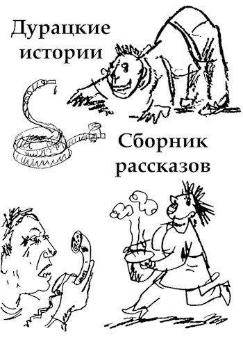 Обложка книги Дурацкие истории
