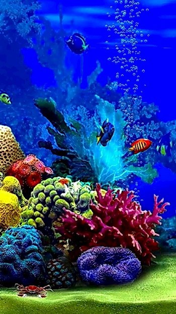 Обложка книги "Морской Дьявол"